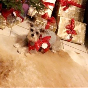 Meet your Posher, Sam